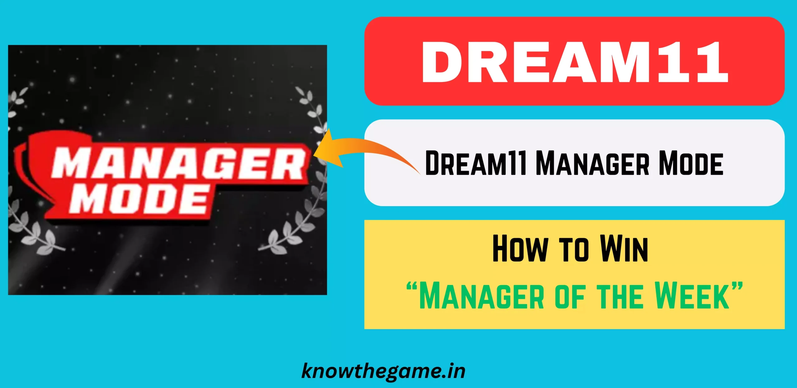 Dream11 Manager Mode