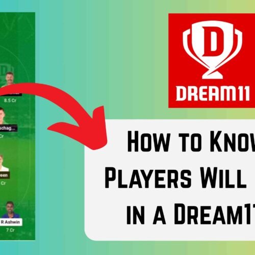 Which Players Will Be Playing in a Dream11 Match?