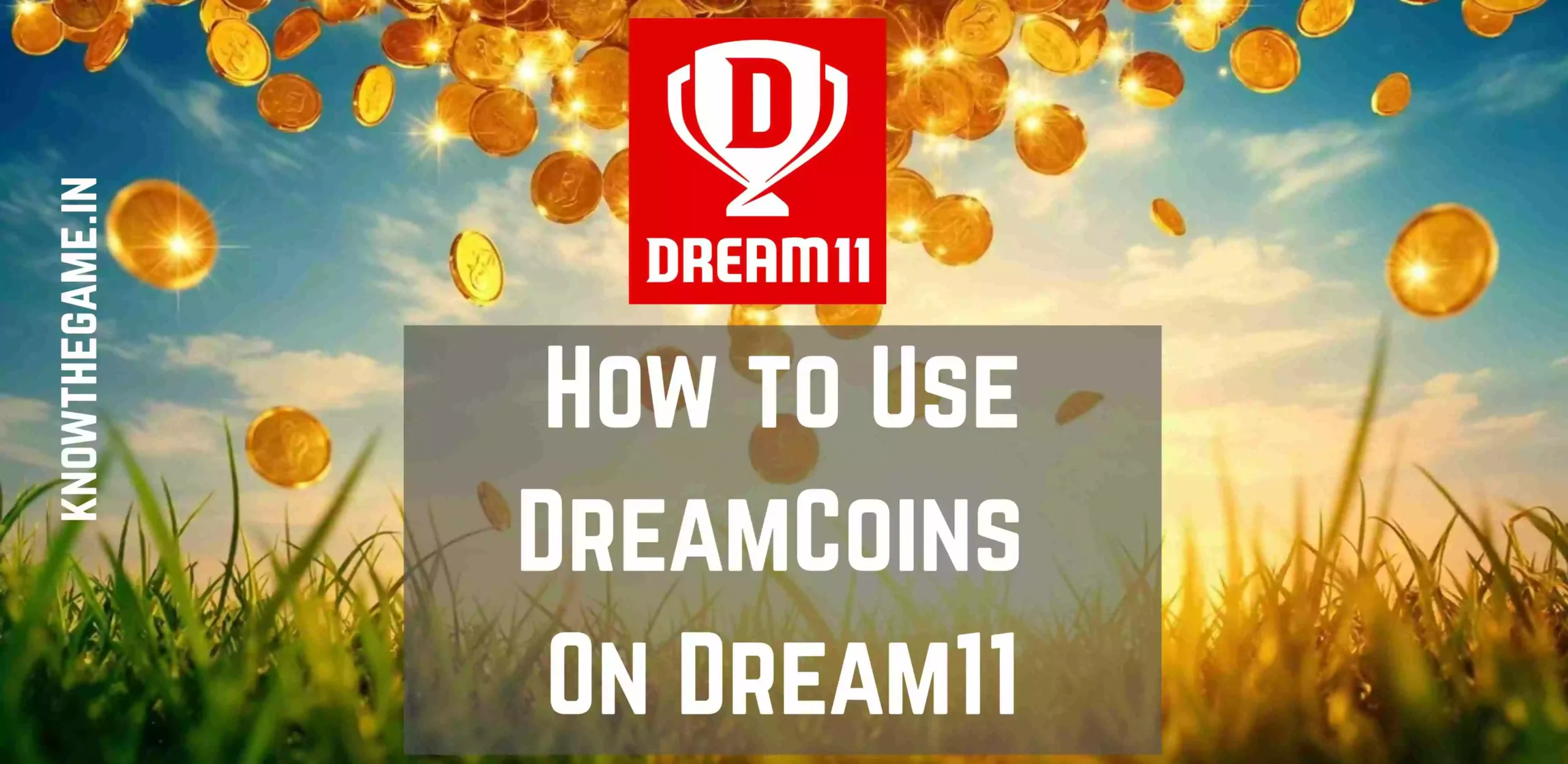 How to Use Dream Coins On Dream11