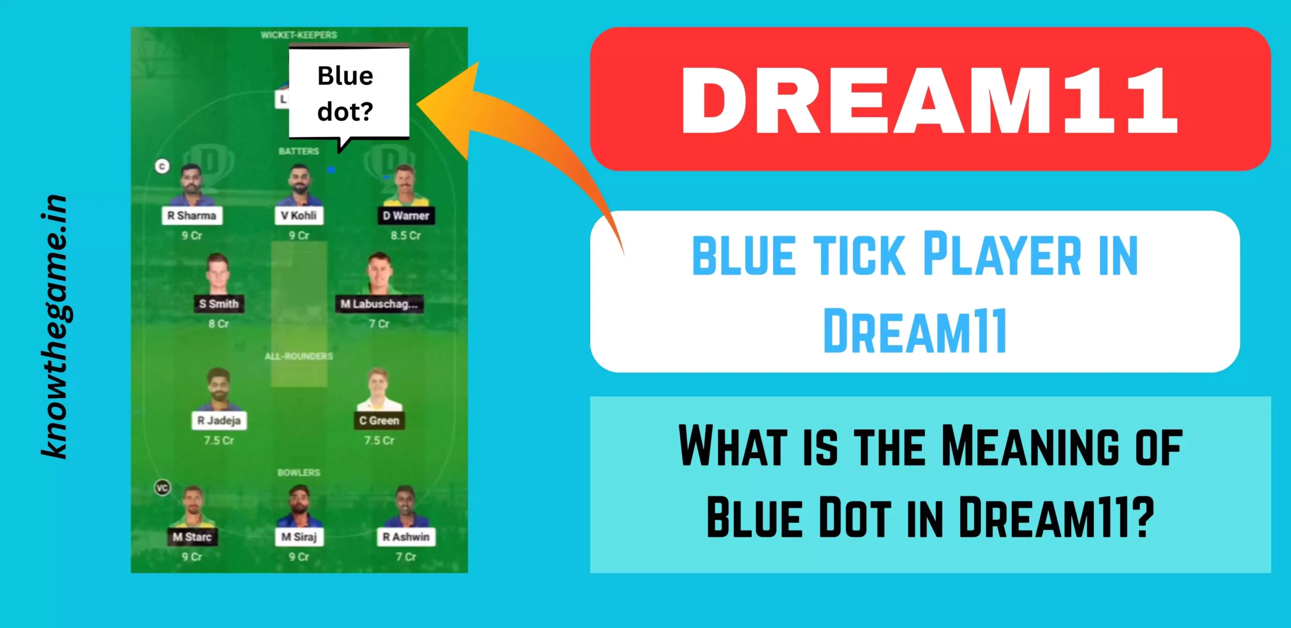 What is the Meaning of Blue Tick in Dream11?